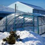 Pool in a polycarbonate greenhouse: photos, step-by-step instructions reviews