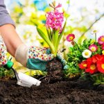 Based on your wishes, you can create the flower garden of your dreams with your own hands.