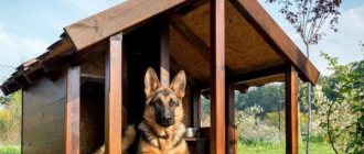 How to make a dog house from scrap materials with your own hands