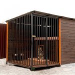 Comfortable enclosures for dogs: do it yourself without waste or mistakes