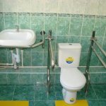 In the photo: in some cases it is enough to install railings near the toilet so that a person can use the toilet independently