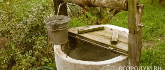 Своевременная чистка – залог получения воды высокого качества