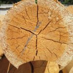 Защита древесины